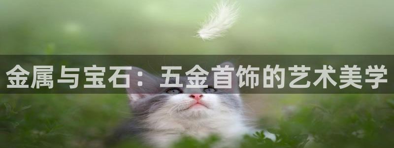 恒行2王74OOO5