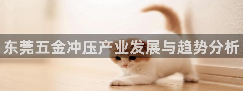 恒指5行情 如来再我心