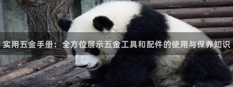 恒行彩票亏5千
