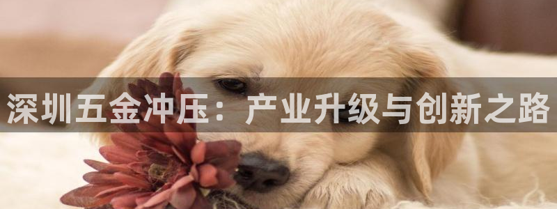 恒行娱乐掏沂74ooo5弛