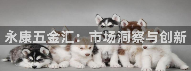 恒行主管首问6ll5l