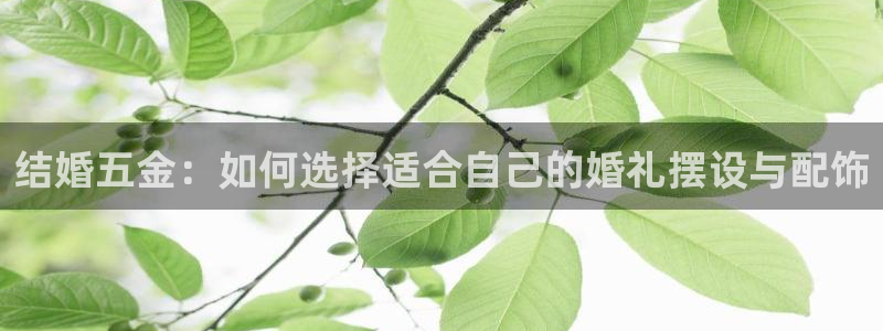 恒在5行中代表什么数字