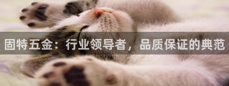 恒行代理总代主导 6ll5l