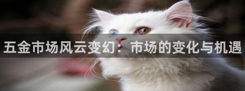 恒行主管招收 6ll5l出奇