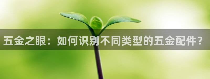 恒行娱乐蒋74OOO5