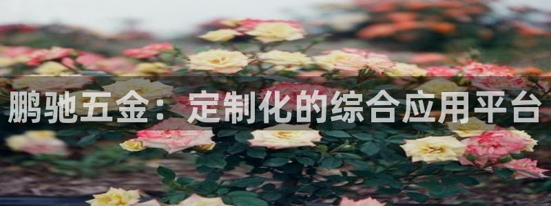 恒行娱乐鸟74ooo5判官