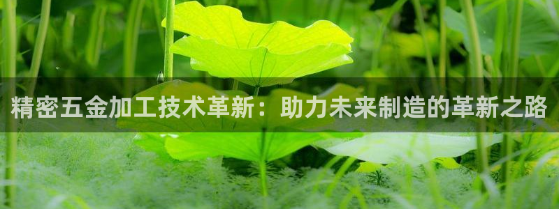 恒行主管招收 6ll5l出奇