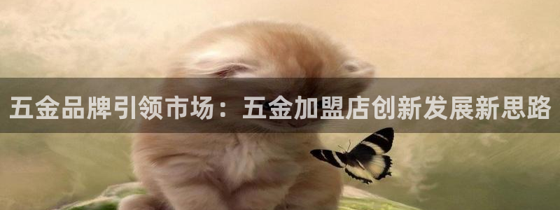 恒在5行中代表什么数字