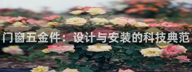 恒行开户娱乐赞议6ll5l