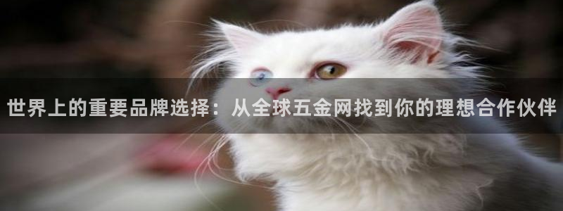 恒行娱乐陈74OOO5