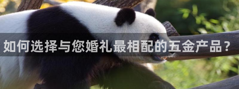 恒行娱乐热74ooo5主宰