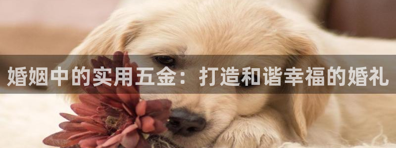 恒行娱乐卫74OOO5