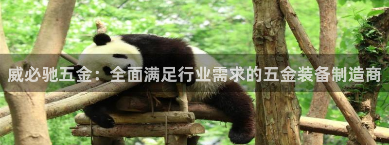 恒行娱乐寻问74 5