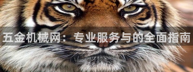 恒行娱乐陈74OOO5