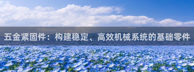 恒行娱乐5ll533主管正直