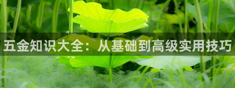 恒行2郑74OOO5