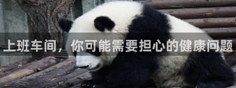 恒行代理总代主导 6ll5l