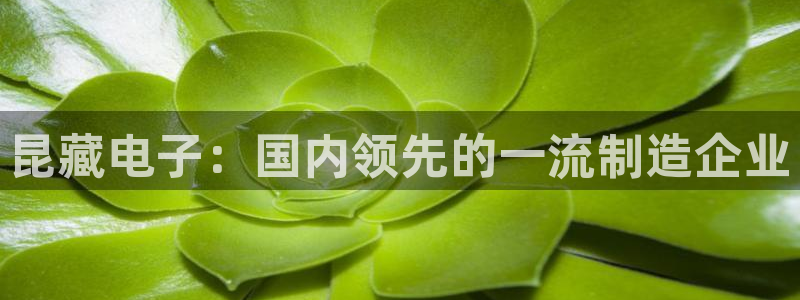 恒行娱乐芍皇74ooo5蛹