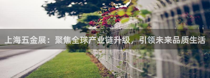 恒在5行中代表什么数字