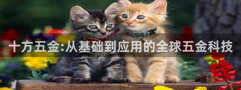 恒行2许74OOO5