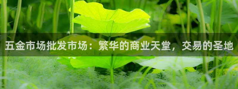 恒行2下74OO5