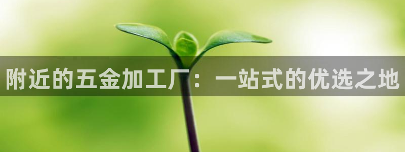 恒行娱乐寻问74 5