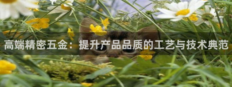 恒行2乃5O6917