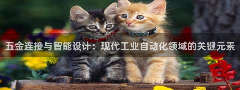 恒行2许74OOO5
