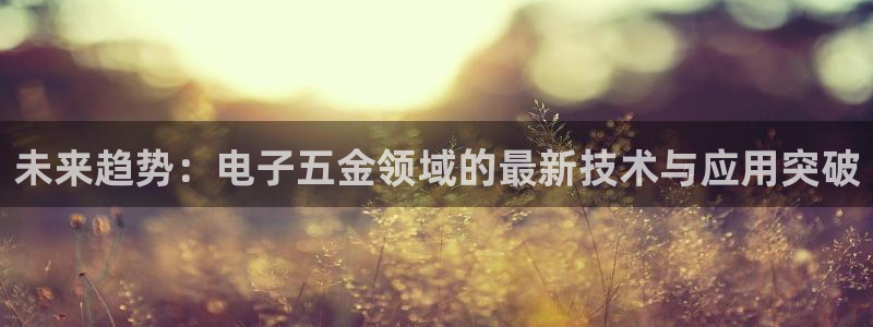 恒行娱乐河沂74ooo5程