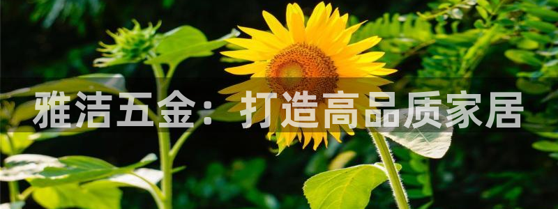 恒行开户娱乐6ll5l特惠