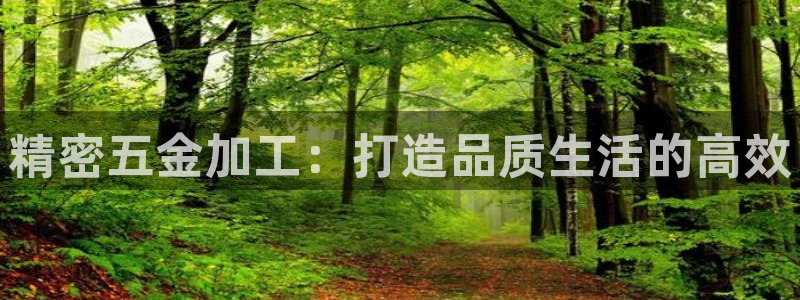 恒行2杨74OOO5