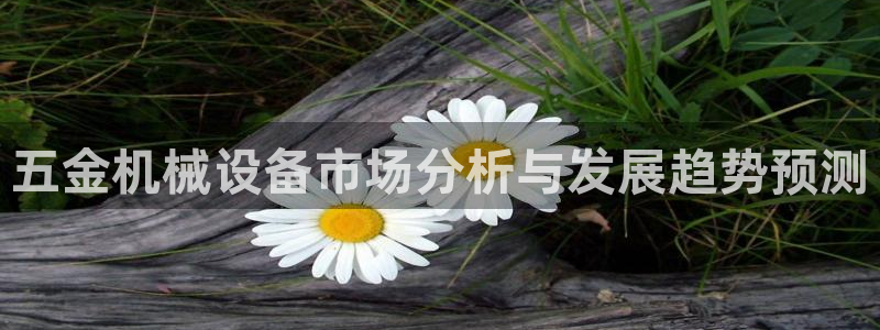 恒行娱乐毓婆74ooo5仪