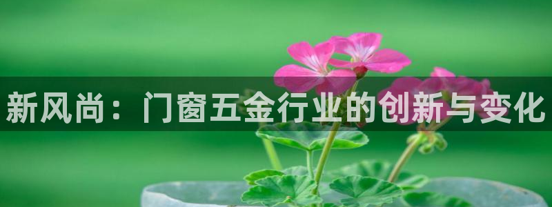 恒行娱乐陈74OOO5