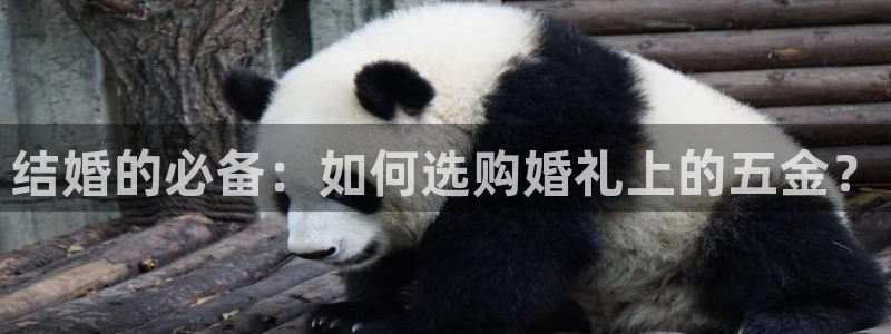 恒行娱乐热74ooo5主宰