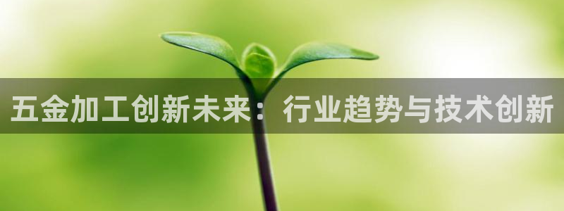 恒行主管6ll5l指定