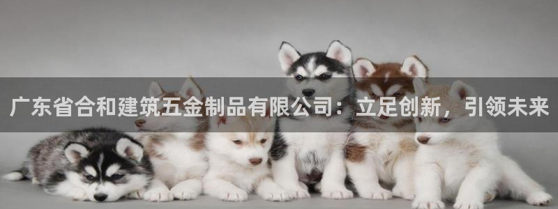 恒行主管首问6ll5l